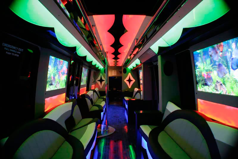 28-passenger party bus